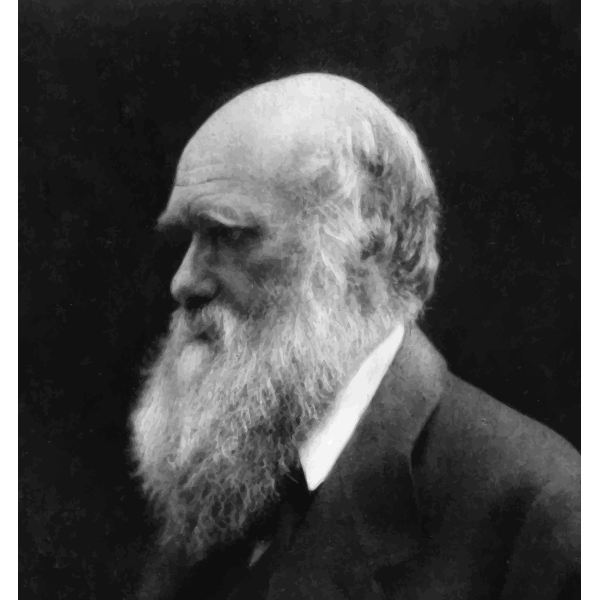 Darwin