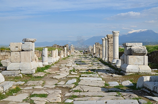 laodicea